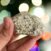 Pyrite Stone: Enhancing Wealth, Business Luck, and Willpower