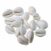 Abhimantrit Safed Kaudi - Set of 11 Natural White Kauri Shells