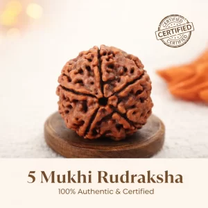 6 mukhi 6 Mukhi Rudraksha Benefits (Six Faced) ✅ Blessed by Lord Kartikeya – Brings wisdom, willpower, and inner strength. ✅ Boosts Confidence & Focus – Helps improve concentration in studies and work. ✅ Removes Laziness & Negative Thoughts – Fills you with positive energy and clarity. ✅ Supports Good Health – Especially helpful for bones, muscles, and sexual health  Why Buy from vedashree astro? We don’t just sell spiritual products – we Energize each item through sacred Vedic rituals, personalized with your Name and Gotra, so you receive divine blessings and real results. Discription The Nepali 6 Mukhi Rudraksha (Six Faced) – Abhimantrit & Certified is a powerful and sacred bead blessed by Lord Kartikeya, the warrior son of Lord Shiva. It represents courage, wisdom, and strong willpower. This Rudraksha helps improve focus, confidence, and clarity in thoughts, making it ideal for students, professionals, and those who seek mental strength. This bead is especially helpful for people who struggle with fear, laziness, or lack of motivation. It removes negative energy, reduces stress, and helps control anger and emotional ups and downs. Wearing the 6 Mukhi Rudraksha brings balance to your emotions and strengthens your ability to face challenges calmly and wisely. The 6 Mukhi Rudraksha (6 मुखी रुद्राक्ष) also supports a healthy mind and body. It helps improve communication skills, decision-making, and personal growth. More than just a spiritual item, it is a powerful tool for inner strength, peace, and success in life. Every product is personally vivek dankh by Founder Vivek shastri with your Name and Gotra (7+ years of experience in vastu canceltant and astrology). Mantra for this Rudraksha: “ॐ नम शिवाय नमः”. Chant daily for best results. 108 times How to wear? If you place an order, Please inform us or expect a call on your registered number. Our experts will guide you with the wearing ritual. We will also provide you with Muhurat. We will give you Mantras in order to absorb its positive energy We will guide you with reenergizing & cleansing process to reap maximum benefits Stay blessed, Packaging we believe in providing a personalized experience for each customer. Once you make a purchase, we first confirm all your details to ensure accuracy. Our expert astrologer carefully cleanses your products and then energizes each product according to your specific information like Name, Gotra, and Date of Birth, ensuring it aligns with your spiritual needs. After the energization, your products are thoughtfully packaged with care, placed in a secure box, and accompanied by fresh flowers, a personalized greeting, and a certificate of authenticity. Every step of this process is guided under the expert supervision of vedashree jyotish ensuring that your purchase is filled with positive energy and blessings.