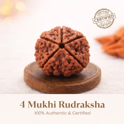 4 mukhi rudraksha