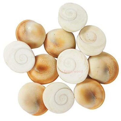 gomati chakra banefits of Gomati chakra जीवन में सफलता कौन नहीं चाहता। व्यापार, नौकरी में पदोन्नति और आर्थिक लाभ की अभिलाषा सभी में रहती है। साधक अपनी अभिलाषा को पूर्ण करने का हर संभव प्रयास करता है। कई बार सफलता मुंह चिड़ाती सी नज़र आती है। तब निराशा का भाव उत्पन्न होता है। ऐसे में आप गौमती चक्र के प्रयोगों से सफलता की और अपने कदम उठा सकते हैं। गोमती चक्र समृद्धि, खुशी, अच्छा स्वास्थ्य, धन, मन की शांति और बुरे प्रभावों से बचाता है। रोग के इलाज़ में सहायता, अधिक चेतना, बेहतर भक्ति, समाज में प्रतिष्ठा, वित्तीय विकास, एकाग्रता, व्यापार वृद्धि और पूजा की शक्ति देने में बहुत सहायक है। गोमती चक्र गोमती नदी में पाए जाने वाले अल्पमौली चक्र होते हैं। यह चक्र केल्शियम से निर्मित होते हैं। इनका रंग कुछ सफ़ेद और पीलापन लिए हुए होता है। किसी-किसी में हल्का कत्थईपन भी होता है। अधिकांश इनका प्रयोग धन प्राप्ति, व्यापार वृद्धि, शीघ्र विवाह तथा शत्रु नाश के उपायों में किया जाता है। यह एक यंत्र के रूप में प्रयोग किया जाता है। यह मंत्र के लिए भी प्रयोग किया जाता है। यदि इनका प्रयोग पूर्ण विश्वास के साथ किया जाए तो असफलता की कोई संभावना नहीं होती है। Hindi LIVE: अरिजीत ने प्लेबैक सिंगिग को कहा अलविदा, संसद के बजट सत्र का आगाज आज से Read More recommended by Hiranandani Fortune City 3 & 4 BHKs at Hiranandani Panvel with Pre-Launch Benefits offering seamless connectivity with benefits upto ₹6.99L अधिक जाणून घ्या यदि आपका ट्रेवलिंग कार्य है किन्तु पर्याप्त आय और सफलता नहीं मिल पा रही, या ऑफिस में पदोन्नति नहीं हो पा रही, हर समय कुछ रुकावटें आ जाती है, तो तीन अभिमंत्रित गौमती चक्र, चांदी के तार में एक साथ बांध कर अपनी जेब में रखें। इसके प्रभाव से आप सफलता प्राप्त करेंगे पर याद रहे कि गोमती चक्र अभिमंत्रित होने चाहिए। धन प्राप्ति के लिए और स्थायी आर्थिक समृद्धि के लिए आप किसी भी माह के शुक्ल पक्ष के प्रथम शुक्रवार को 11 अभिमंत्रित गौमती चक्र लें और घर के पूजा स्थान पर लाल रेशमी वस्त्र बिछाकर सभी गौमती चक्र रख दें। सर्वप्रथम चंदन के इत्र से तिलक करें फिर रौली से तिलक करें। स्फटिक की माला से 11 माला “श्री महालक्ष्म्यै श्रीयें नम:” का जाप करें। फिर जाप के बाद उठ कर सभी गौमती चक्रों को उसी लाल वस्त्र में ही धन रखने के स्थान तिजोरी आदि में रख दें। आपको आर्थिक तौर पर स्थायी लाभ होने लगेगा। विवाह के लिए सर्वप्रथम 25 गोमती चक्र लें और किसी गुरुवार को पूजा स्थल पर पीला रेशमी रुमाल बिछाएं। उस पर पीतल की थाली रखेँ। थाली पर केसर व हल्दी मिलाकर तर्जनी उंगली से “ॐ जीवाय नम:, ॐ स्वर्णकायाय नम:, ॐ चतुर्भुजाय नम:” लिखें। अब आप सभी गोमती चक्र थाली में रखकर उस पर भी हल्दी केसर से तिलक करें। फिर हल्दी की माला से “ॐ बृं बृहस्पत्ये नम:” का जाप करें। जाप के बाद तीन गोमती मंत्र पीले रुमाल के कोने में बांध कर अपने पास रखें (जब तक विवाह न हो जाए)। और थाली में जो आपने मंत्र लिखे थे उनको पानी से धो लें। उस पानी को अपने स्नान के जल में मिलकर स्नान कर लें। बचे हुए 22 गोमती चक्र को शुद्ध स्थान पर रख दें। एक गोमती चक्र को लेकर किसी निर्जन स्थान पर जाएं और स्वयं पर से 7 बार वार कर दक्षिण दिशा की और फेंक दें। एक चक्र को वार कर बहते जल में प्रवाहित करें। यह कार्य आप उसी दिन करें जिस दिन (गुरुवार) आपने प्रयोग आरंभ किया है। अब बचे हुए 20 गोमती चक्रों को बीस दिन नियमित रूप से एक एक करके उपरोक्त विधि से अपने ऊपर से वार कर जल में प्रवाहित करते जाएं। जिस दिन आपका यह प्रयोग पूर्ण हो जाए आप किसी भी केले के वृक्ष पर जल में केसर, हल्दी, शहद और गुड को 300 ग्राम बेसन के लड्डू के भोग के साथ अर्पित करें। शुद्ध घी का दीपक जलाएं। कुछ समय में आपको स्पष्टत: परिणाम दिखने लगेंगे। विवाह तय हो जाने पर विवाह की रस्म से पूर्व अपने पास में रखें गोमती चक्र जल में प्रवाहित कर दें। या आप विवाह पश्चात भी इन्हें जल में प्रवाहित कर सकते हैं। यह उपाय कन्या और पुरुष दोनों कर सकते हैं।