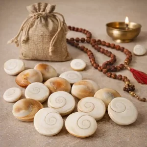gomati chakra banefits of Gomati chakra